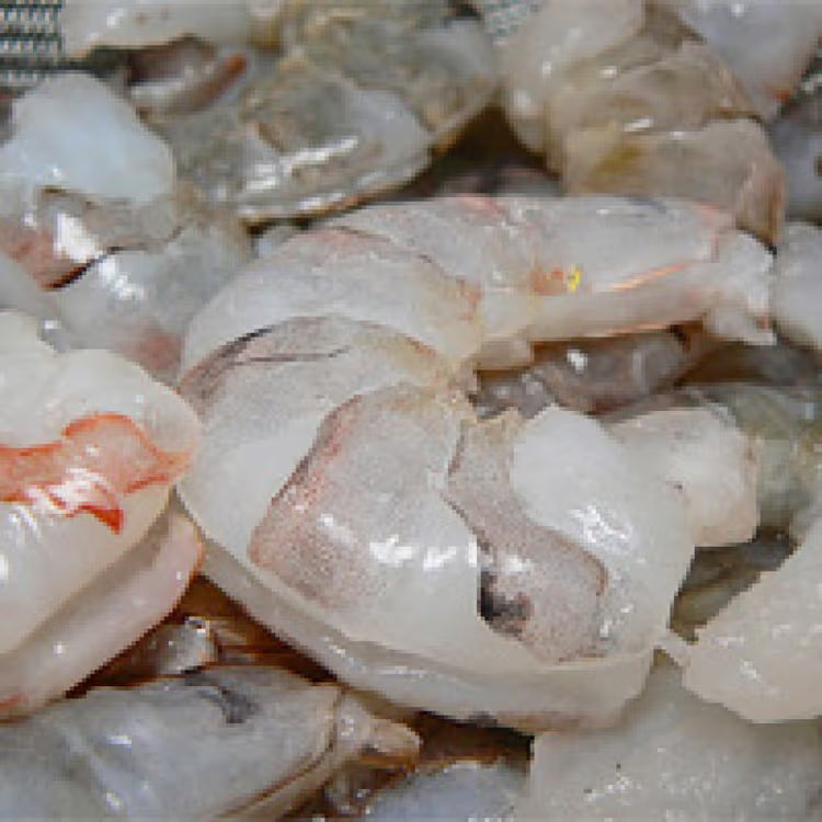 Shrimp 40/50